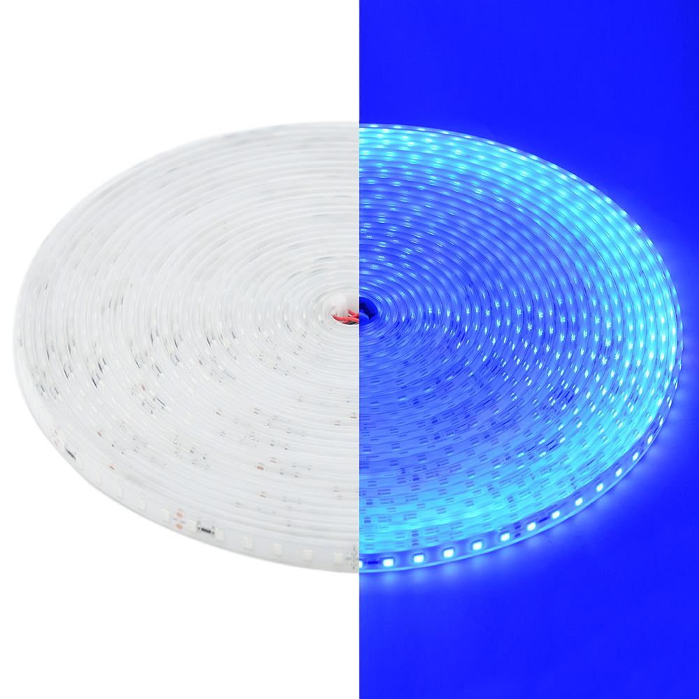 DC24V 65.6ft/20m 1200 High Brightest 5050SMD LEDs Blue Color Lights Waterproof IP68 Outdoor Single Row Flexible LED Tape Lights Apply For Swimming Pool